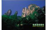 網(wǎng)絡(luò)熱門純玩游：張家界、天子山、袁家界、楊家界 自助三日游