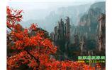 春節(jié)期間：張家界、天子山、金鞭溪自駕車精華精品游