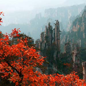 休閑自駕E線：張家界、袁家界、天子山、寶峰湖、鳳凰古城、沱江泛舟四晚五日游