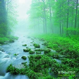 【純玩散拼尊享系列3】張家界、天子山、袁家界、黃龍洞、鳳凰三晚四日游