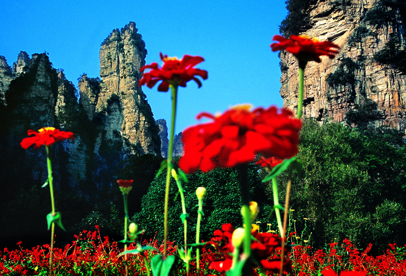 LF線：張家界國(guó)家森林公園、猛洞河漂流、鳳凰古城純玩自助五日游